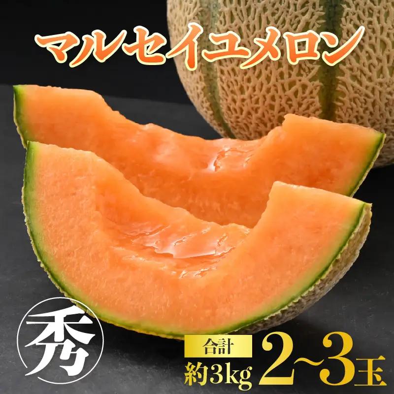 【先行予約】マルセイユメロン 5L 2玉入 約3kg《秀品》深みのある甘さ とろける濃厚な赤肉！ ／ 果物 フルーツ 産地直送 ※2023年6月上旬より順次発送
