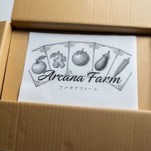 【3回定期便】 こだわりの新鮮野菜セット 8~11品目 | 野菜セット 新鮮 野菜 季節の野菜 おすすめ 高知県 南国市