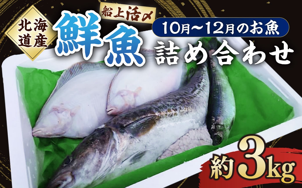 
                  北海道産 船上活〆鮮魚詰め合わせ約3kg 【2026年10月上旬～12月上旬まで発送予定】 鮮魚 活〆 血抜き セット 旬 出汁 3キロ 魚 魚類 魚介 魚介類 食材 国産 鮮魚セット 詰め合わせ
                