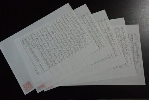 【ふるさと納税】奈良朝書体高級写経用紙「般若心経」5枚セット