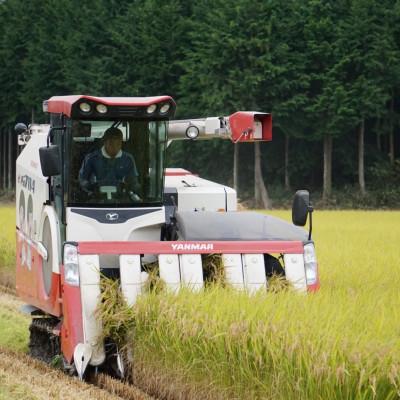 ふるさと納税 那須塩原市 那須塩原市産コシヒカリ 精米10kg |  | 03