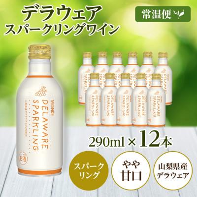 ふるさと納税 笛吹市 モンデ酒造の　デラウェアスパークリング 290ml 12本入  山梨県 笛吹市 |  | 03