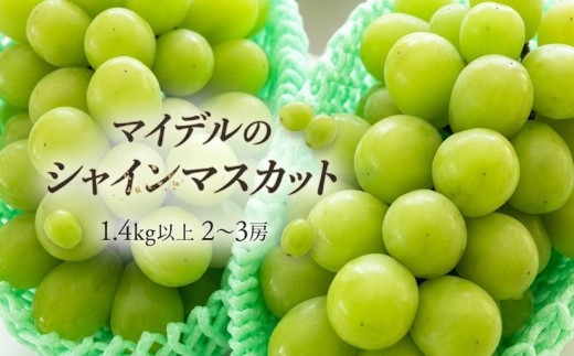 道の駅マイデルのシャインマスカット2～3房（約1.4kg以上）※9月頃より順次配送