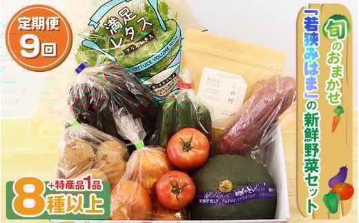 定期便 《9ヶ月連続お届け》 旬のおまかせ 「若狭みはま」の新鮮野菜セット 8種以上＋特産品1品 【ふるさと納税 春野菜 夏野菜 秋野菜 冬野菜 定期便 定期 やさい 野菜 セット 詰合せ 大容量 産地直送 旬 新鮮 採れたて おススメ 人気 】 [m66-j001]