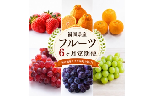 ＜発送月固定定期便＞福岡県　フルーツ6ヶ月定期便(2月～7月)全6回【4090499】