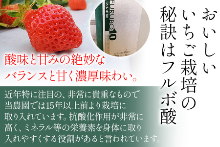 荒巻エコタロウ農園のぜいたく定期便（あまおう約300g×3回）【2026年2月〜3月】　BJ08