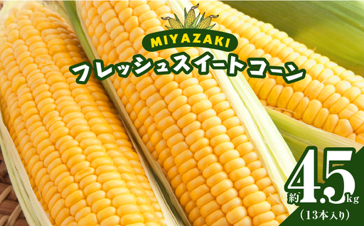 先行予約≪期間限定≫みやざきフレッシュスイートコーン(約4.5kg) とうもろこし 野菜 旬 おやつ 国産_T015-0045