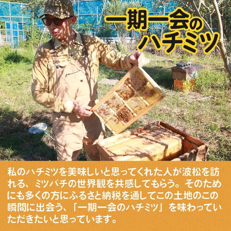 【天然はちみつ】 raw honey あわら蜜 1個 / 非加熱 生産者直送 蜂蜜 ミツバチ 純はちみつ ローヤルゼリー 生はちみつ みつばち [aw101-a001]