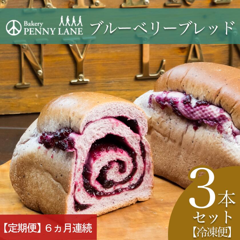 【ふるさと納税】【6ヵ月定期便】ペニーレインのブルーベリーブレッド3本セット | 茨城県 つくば市 パン パン屋 茨城県 つくば市 ブルーベリー 冷凍パン お取り寄せ 人気 おすすめ ベーカリー グルメ プレゼント レストラン ドッグラン 冷凍 冷凍便