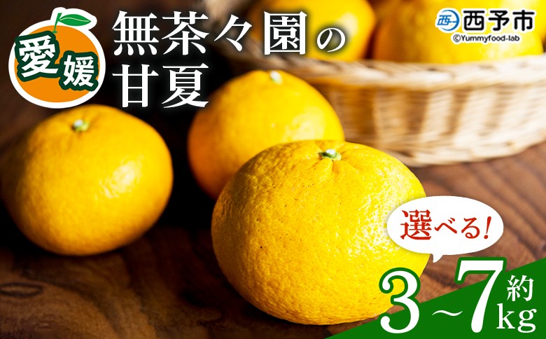 
                  【先行予約】無茶々園の甘夏 約3kg～7kg　果物 くだもの あまなつ みかん ミカン 蜜柑 柑橘 フルーツ 選べる内容量 期間限定 季節限定 食べて応援 特産品 愛媛県 西予市 【常温】
                