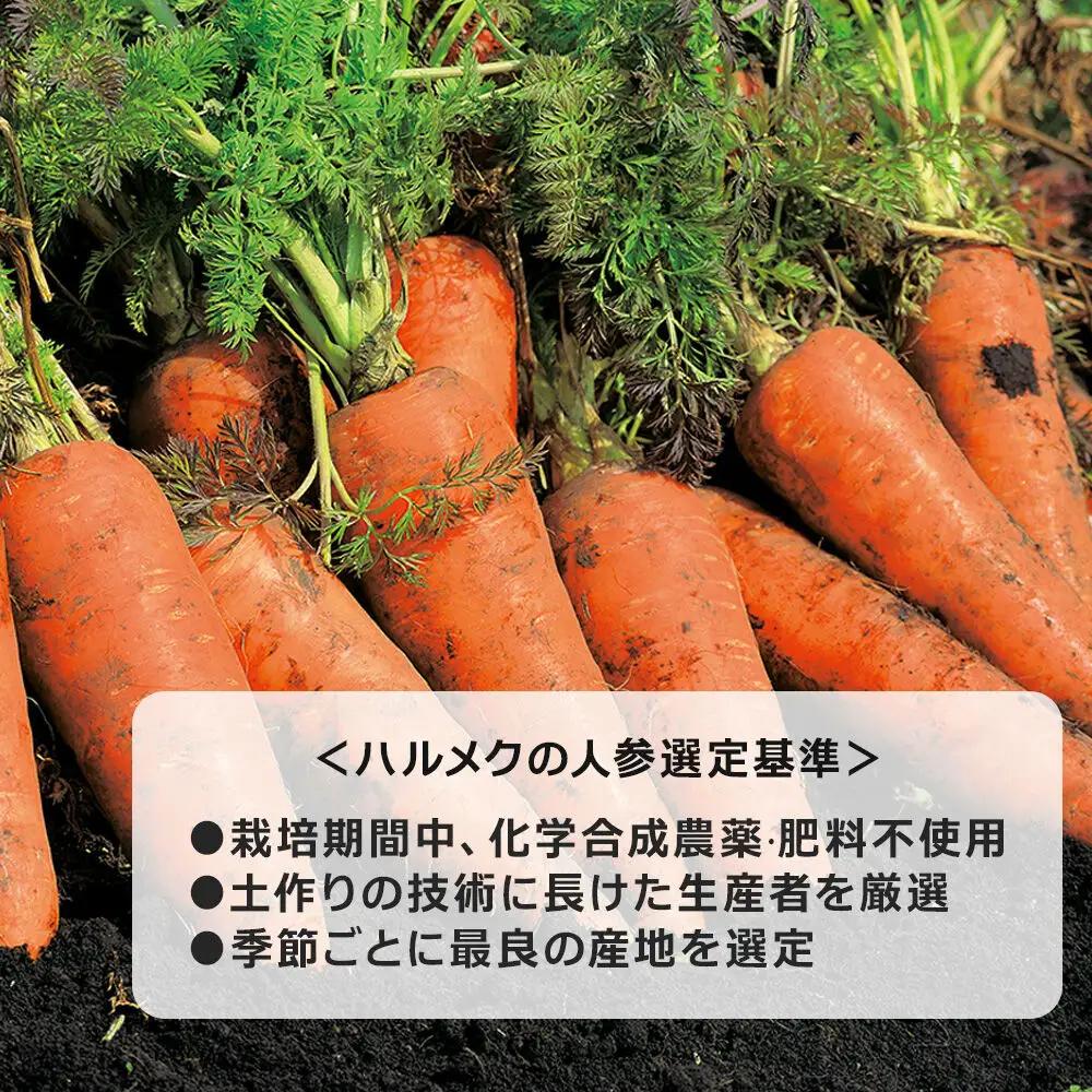 ハルメク 人参ジュース【缶】190g×10本