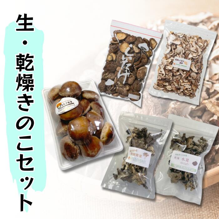 【ふるさと納税】【遠藤きのこ園】乾燥きのこ詰め合わせセット（しいたけ・きくらげ・まいたけ）