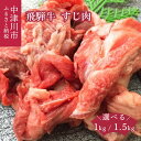 【ふるさと納税】牛肉 飛騨牛 すじ肉 量が選べる 1kg / 1.5kg 国産牛 肉の芸術品 冷凍 配送 送料無料 岐阜県 中津川市 お届け：入金確認から2週間以内に順次発送 F4N-1698var