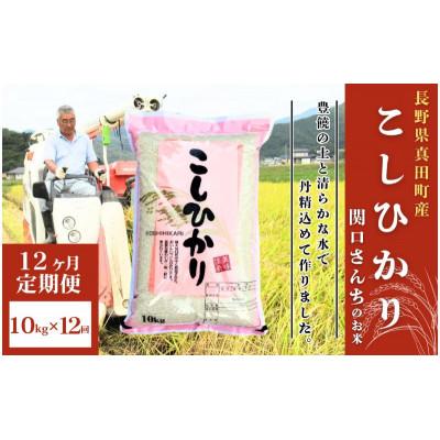 ふるさと納税 上田市 【毎月定期便】コシヒカリ 関口さんちのお米 10kg[54040758]全12回