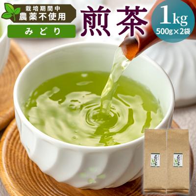 ふるさと納税 東白川村 栽培期間中 農薬不使用! 煎茶 みどり 1kg (500g×2袋) 常磐園 日本茶 緑茶 煎茶