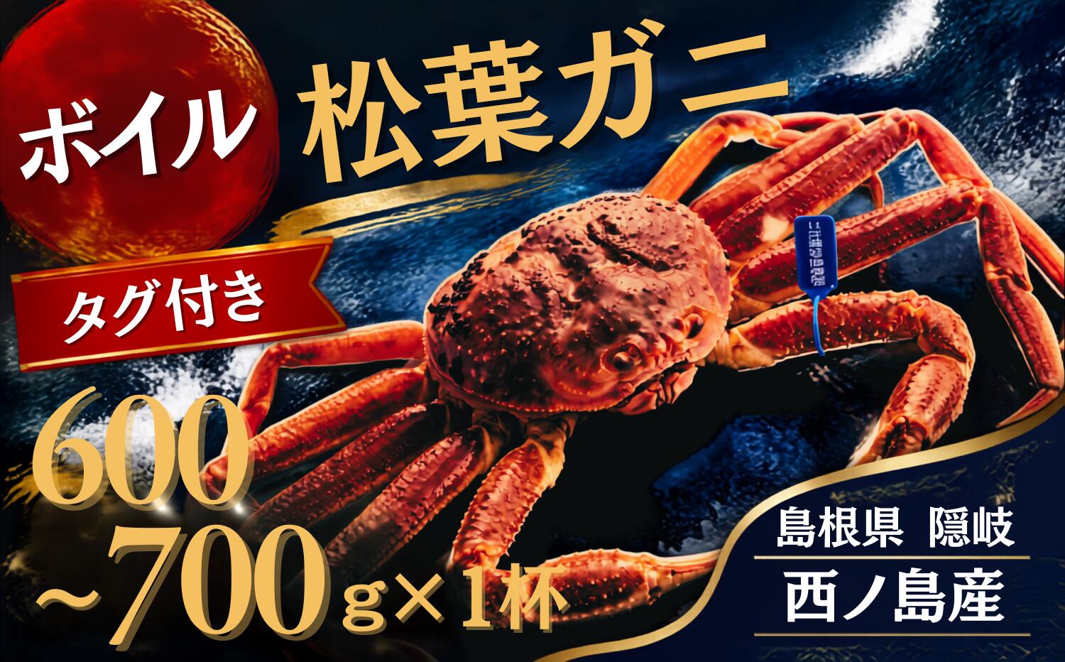 【先行販売】【ふるさと納税】松葉ガニ〈ボイル〉松葉ガニ マツバガニ タグ付き＜11月中旬～2月中旬頃発送予定＞600g～700g 1杯