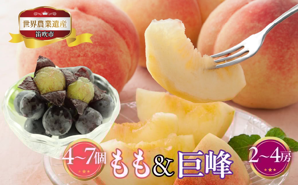
            山梨県笛吹市産　桃(白桃)・巨峰詰合せ　3kg(白桃4個～7個・巨峰2房～4房) 223-019|ふるさと納税 人気 おすすめ ランキング もも 桃 シャインマスカット 国産 人気 期間限定 果物 フルーツ ギフト 贈り物 プレゼント 旬 山梨県 笛吹市 送料無料
          