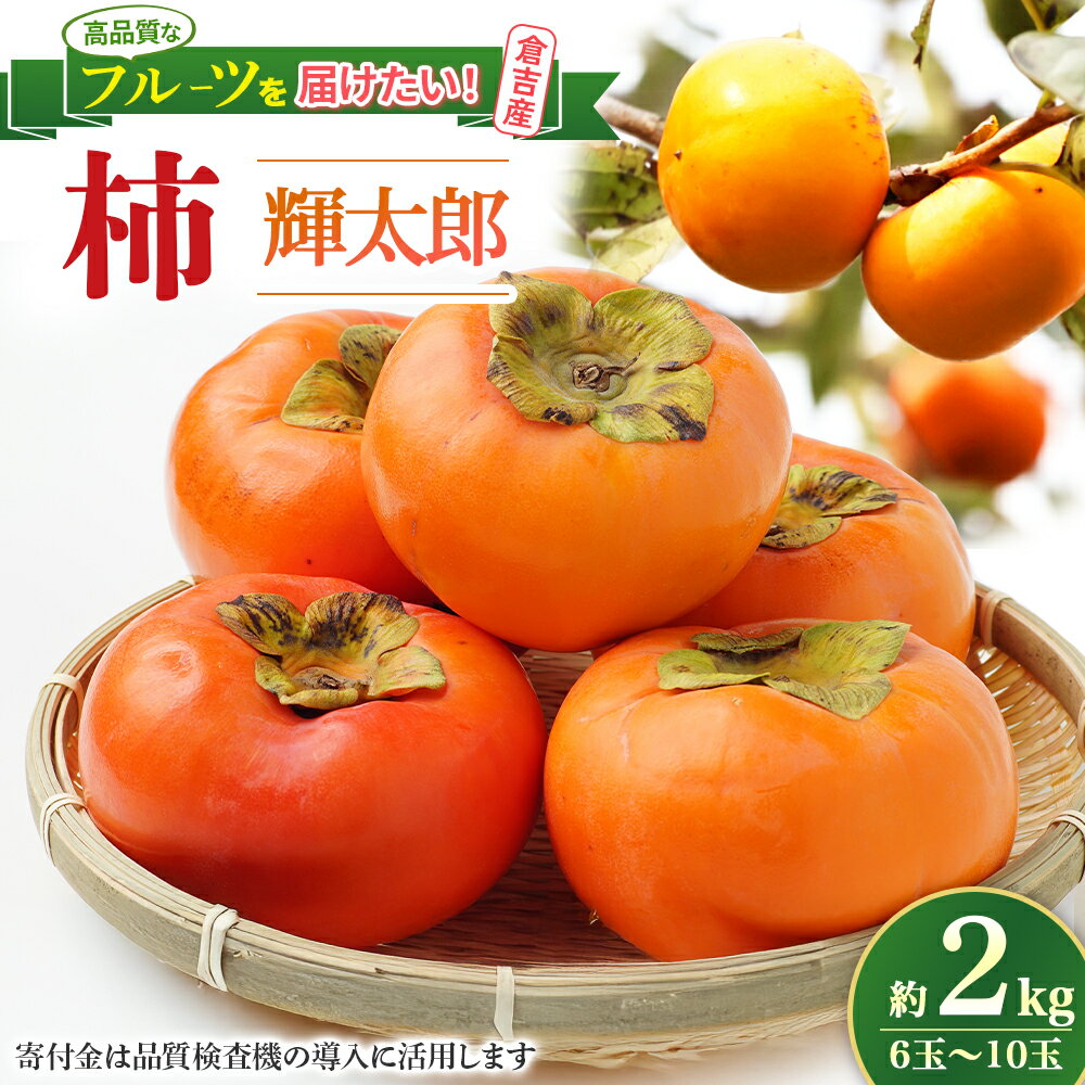 【ふるさと納税】【期間限定】【生産者応援品】令和8年産 輝太郎 2kg 6玉～10玉（柿） フルーツ 先行予約 柿 倉吉産 ブランド柿 果物 生産者応援 寄付金用途指定 数量限定