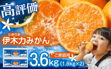 伊木力みかん (家庭用) 3.6kg(1.8kg×2) / みかん ミカン 蜜柑 オレンジ mikan 柑橘 かんきつ フルーツ ふるーつ 果物 くだもの / 諫早市 / 山野果樹園[AHCF019]