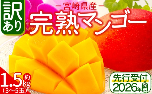 ＜訳あり 宮崎県産 完熟マンゴー 合計約1.5kg（3〜5玉）＞※入金確認後、2026年5月上旬から7月末迄に順次出荷 訳アリ ご自宅 ご褒美 トロピカル 国産 果物 果実 フルーツ 南国 甘い 旬（株）ワールドワイドトレード 宮崎県 国富町【冷蔵】