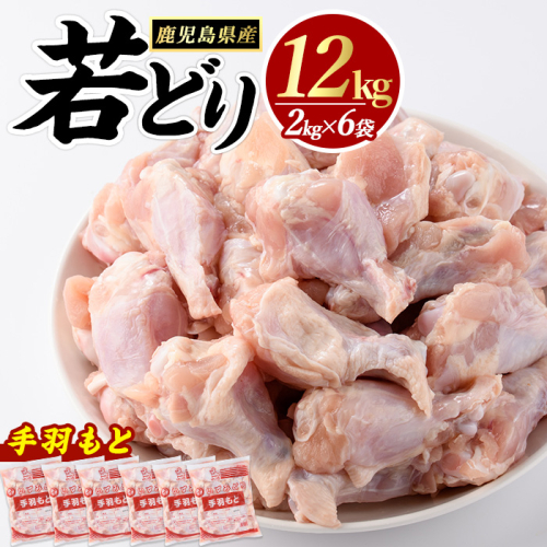 若どり手羽元(計12kg・2kg×6袋)  鶏肉 小分け 冷凍 手羽元 【まつぼっくり】matu-7220