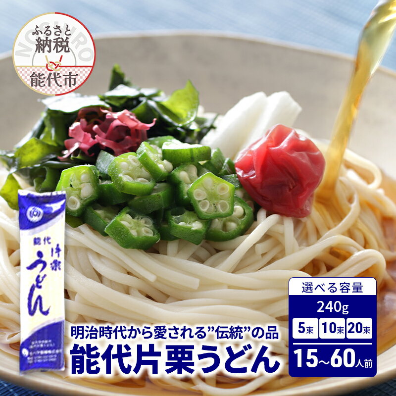【ふるさと納税】選べる 容量 うどん 能代片栗うどん 240g 5束 10束 20束 麺 乾麺　お届け：ご入金確認後、2週間から1ヶ月程でお届けします。