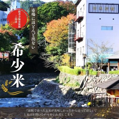 ふるさと納税 伊豆市 静岡 伊豆 修善寺 産【 桂流 こしひかり 】 5kg ×1袋 数量限定 |  | 01
