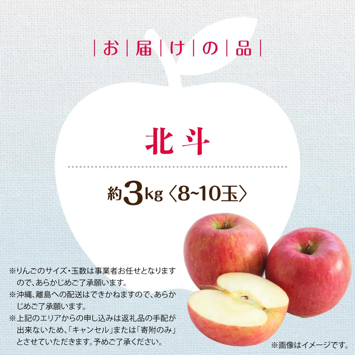 【先行予約】＜2026年11月中旬よりお届け＞北海道壮瞥町　りんご　品種名「北斗」8～10玉約3kg SBTF022