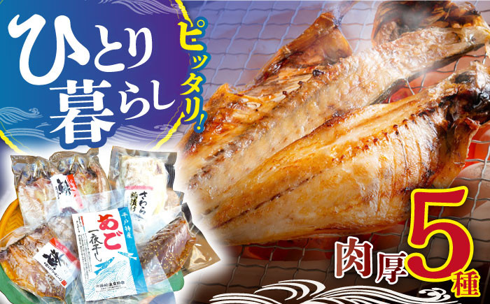 
            【着日指定 可能】【一人暮らしに便利】お試し 干物 5種セット 平戸市 / 篠崎海産物店 [KAD073]
          