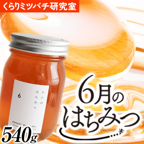 
6月のはちみつ 540g KURARI くらりミツバチ研究室《90日以内に出荷予定(土日祝除く)》和歌山県 紀の川市 蜂蜜 ハチミツ 非加熱 純正生はちみつ トースト ヨーグルト
