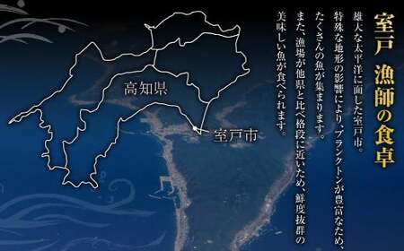 本場わら焼きかつおたたき２節 定期便 ３か月連続お届け(たたきのタレ・室戸海洋深層水の塩付き) 高知 室戸  頒布会_ry030