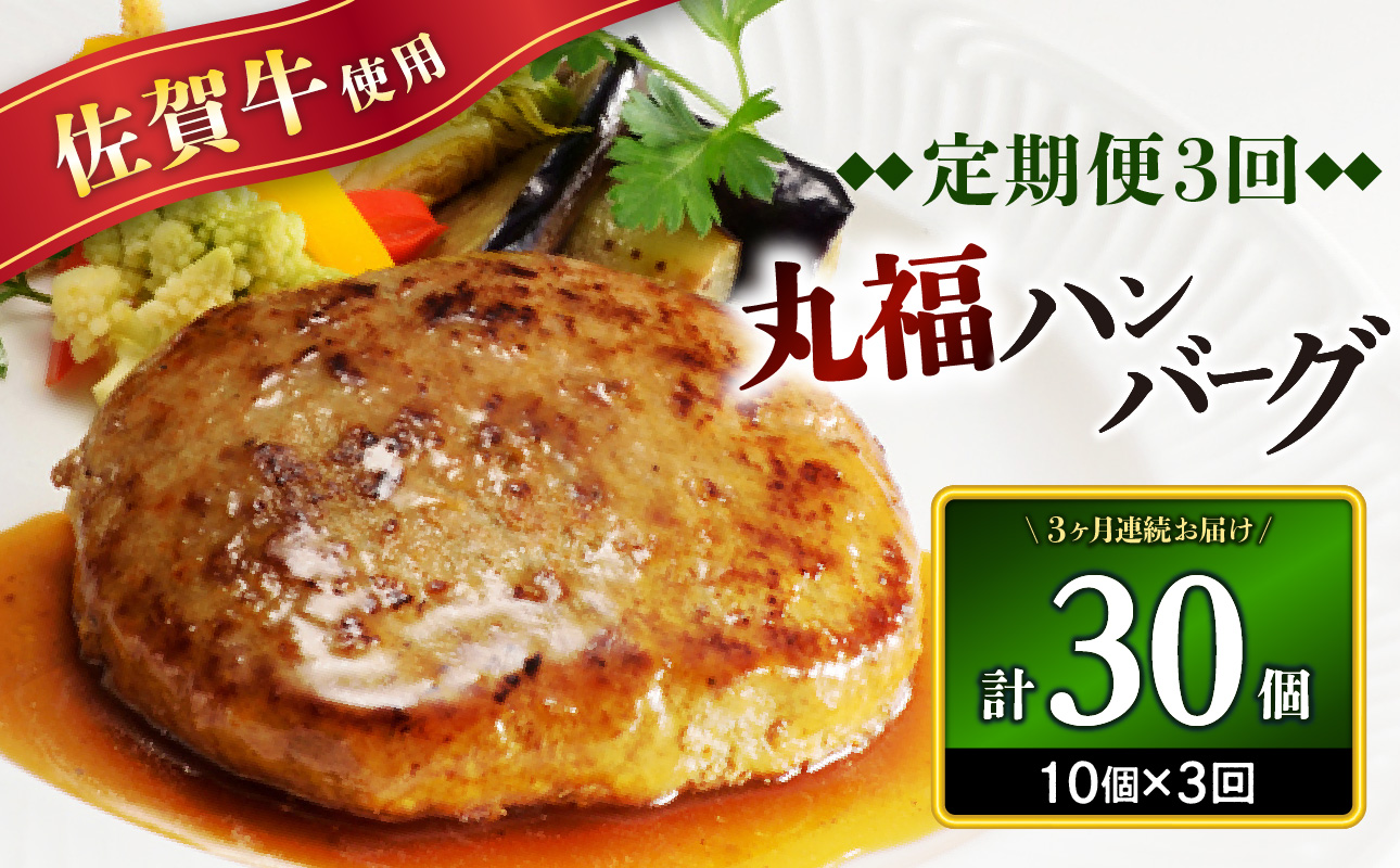丸福・ハンバーグ10個定期便（3回）