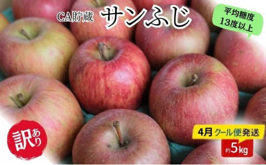 
                  りんご 【4月クール便発送】 平均糖度13度以上 訳あり品 家庭用 CA貯蔵 サンふじ 約 5kg 【 青森りんご 】 果物類 林檎 リンゴ フルーツ
                