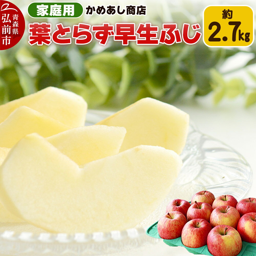 【ふるさと納税】【レビューキャンペーン】【25年10月発送】りんご 葉とらず 早生ふじ【家庭用】約2.7kg ゴールド農園