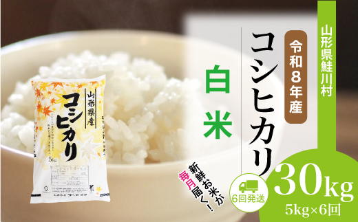 ＜令和8年産米＞ 令和9年1月中旬より発送  こしひかり【白米】30kg定期便 (5kg×6回） 山形県鮭川村