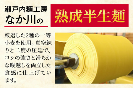 瀬戸内麺工房なか川「広島流 辛辛つけ麺10食セット」 (10袋、たれ、すり胡麻、辛味パウダー付き) [1924]