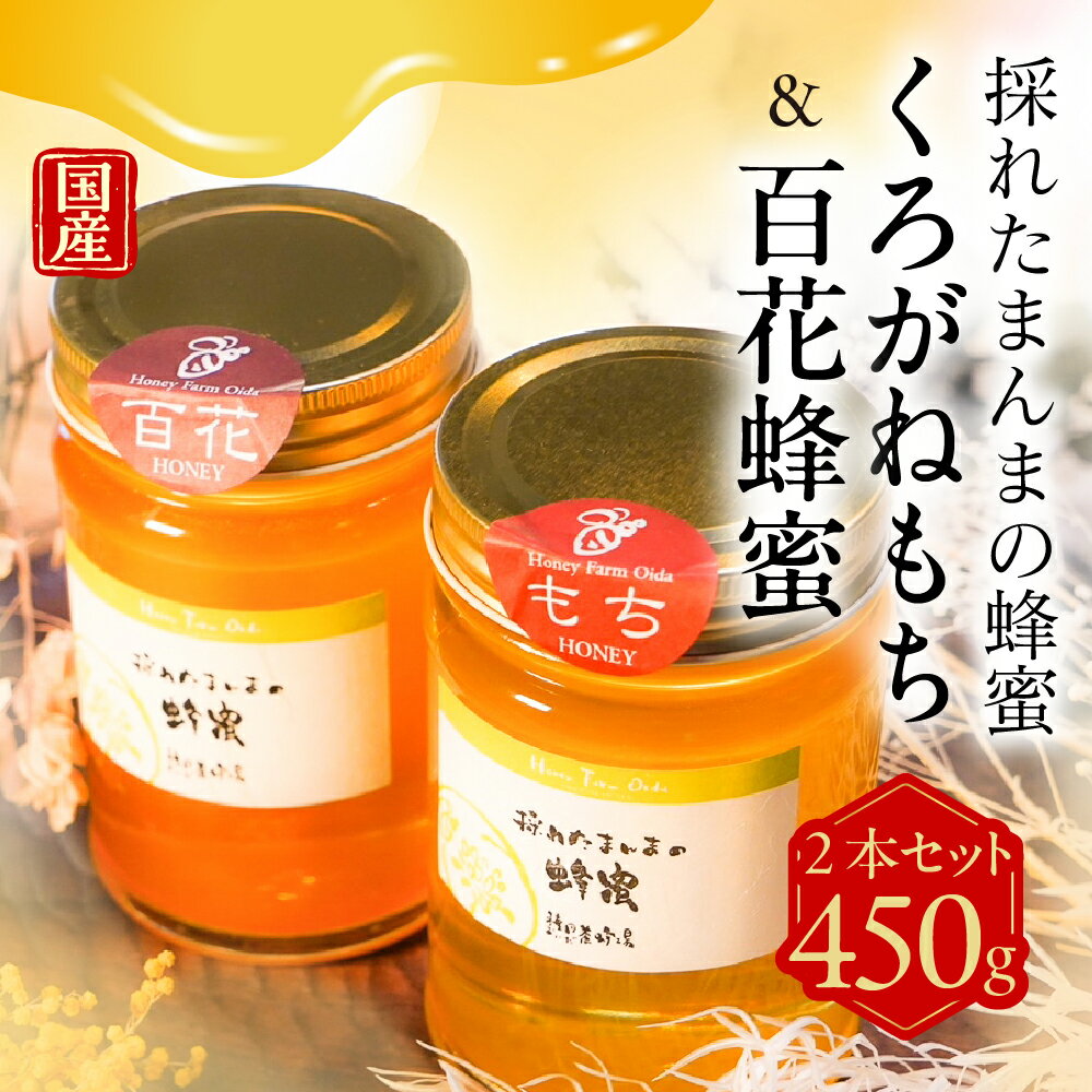 【ふるさと納税】 国産純粋はちみつ 食べ比べ450g2本セット（くろがねもち蜂蜜、百花蜂蜜） 蜂蜜 ハニー ボトル入り 非常食 防災 岐阜県 大垣市