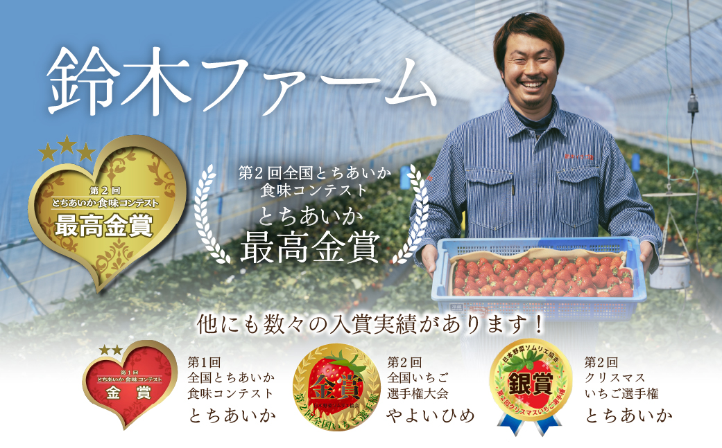 【先行受付：1月以降発送】いちご 鈴木ファームの完熟＆朝採れ とちあいか 大粒 約270g × 4パック 合計 約1080g | いちご イチゴ 苺 とちあいか とちおとめ 完熟 甘い あまい 果物 