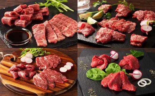 ＜ R8年熊本地震復興支援 ＞希少部位と贅沢なふじ馬刺し厳選セット （ ふじ馬刺しメン ・ 大トロ ・ 中トロ ・ ヒレ ・ ロース ・ ランプ ・ 上赤身 ・ フタエゴ ・ バラヒモ ・ チョーチン