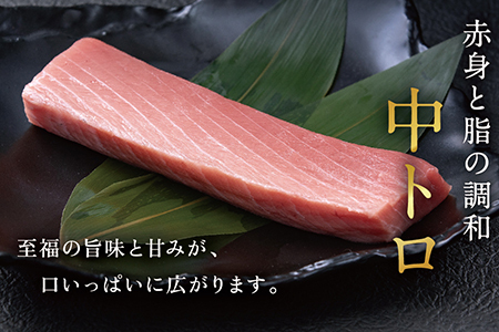 【冷蔵】絶品！生本マグロ　中トロ 350g（柵どり）