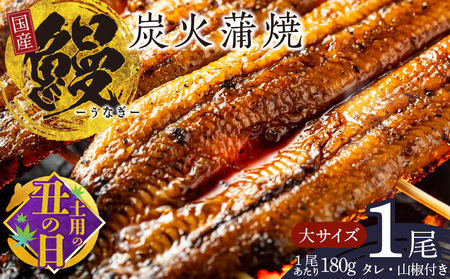 【7/19土用の丑の日】国産うなぎ 大サイズ 180g×1尾 タレ 山椒付き 有頭 炭火 蒲焼