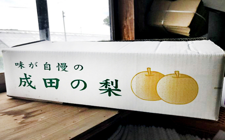 梨 幸水 豊水 2L～3L 14～16玉 フルーツ 梨