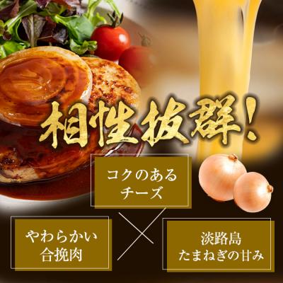 ふるさと納税 淡路市 淡路島たまねぎどっさりジャンボハンバーグ プレーン&チーズセット 200g×10個　ai01885 |  | 01