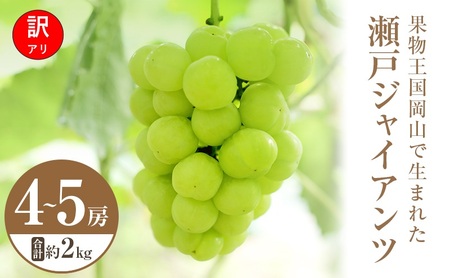 瀬戸ジャイアンツ ぶどう 訳あり 岡山県産 瀬戸ジャイアンツ【4～5房 約2kg】【常温・先行予約】
