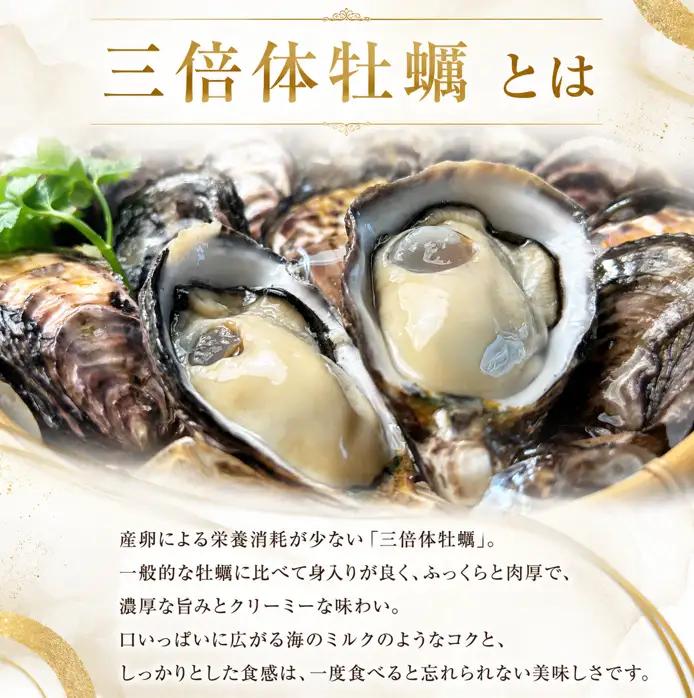 牡蠣 生食用 《全国牡蠣-1グランプリ 準グランプリ受賞！》 25個
