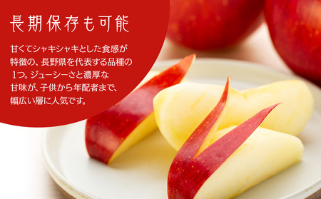 贈答用りんご 上伊那産 シナノスイート 約3kg 12玉 りんご リンゴ 林檎 信州りんご 信濃スイート 果物 くだもの フルーツ 旬の果物 旬のフルーツ デザート 贈答用 ギフト 贈り物 プレゼント