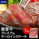 【ふるさと納税】能登牛 プレミアムサーロインステーキ 1kg　牛肉・サーロイン・牛肉・お肉　お届け：2024年5月下旬頃から出荷開始予定です。