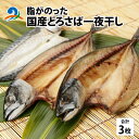 【ふるさと納税】脂がのった 国産とろさば一夜干し 3枚 / 鯖 干物 南越前町 送料無料