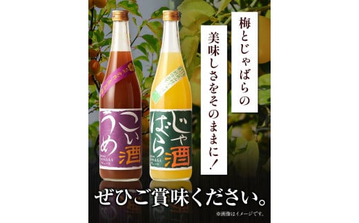 梅酒 紀州こいうめ酒＆じゃばら酒別仕立てセット 720ml×各1本 酒のねごろっく 《90日以内に出荷予定(土日祝除く)》和歌山県 岩出市 酒 梅酒 リキュール 飲み比べ 紀州 こいうめ酒 じゃばら酒