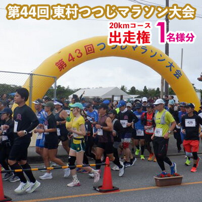【ふるさと納税】【第44回 東村つつじマラソン大会】20kmコース出走権（1名様分） つつじマラソン 20kmコース マラソン大会 ランナー マラソン デビュー 体験型寄附 出走 人気 自然 達成感 沖縄県 東村